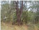 Russell Island QLD 4184