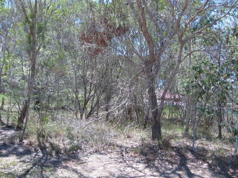 31 Stradbroke Drive, Russell Island QLD 4184