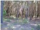 Russell Island QLD 4184