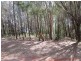 36 Little Cove Road, Russell Island QLD 4184
