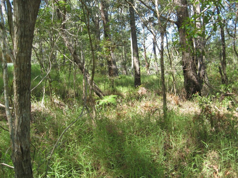 18 Lawson Street, Russell Island QLD 4184