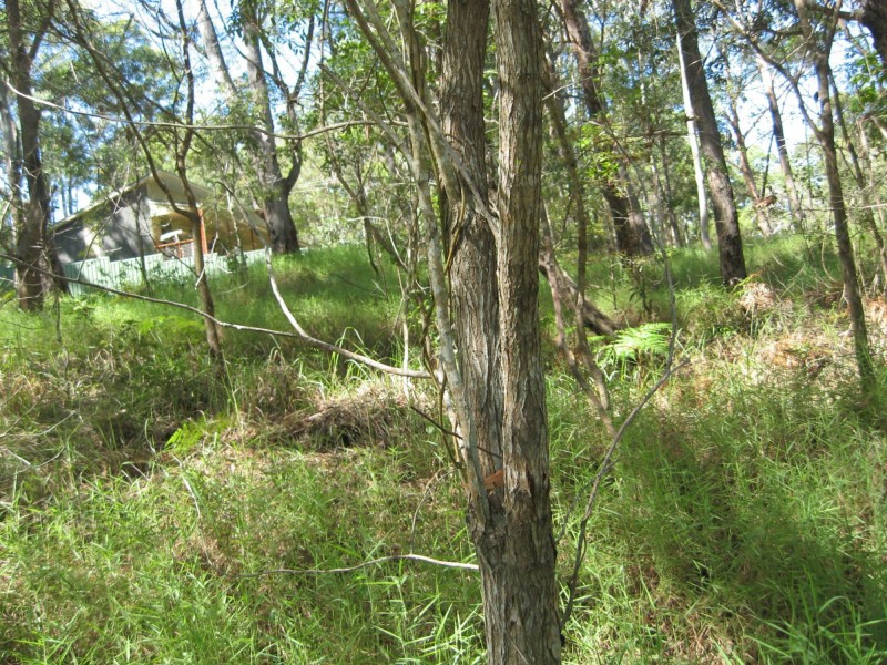 18 Lawson Street, Russell Island QLD 4184