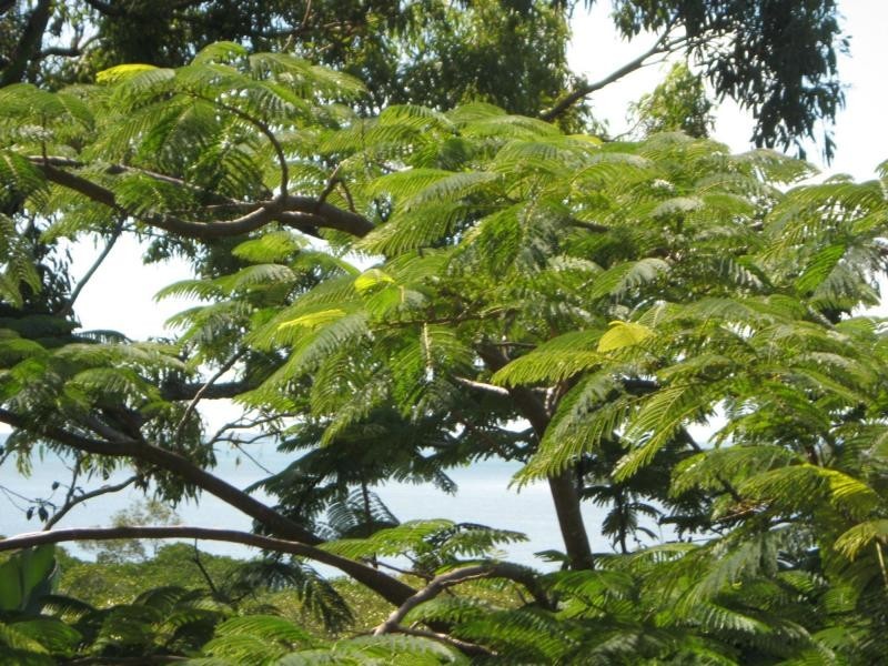 Russell Island QLD 4184