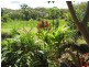 Russell Island QLD 4184