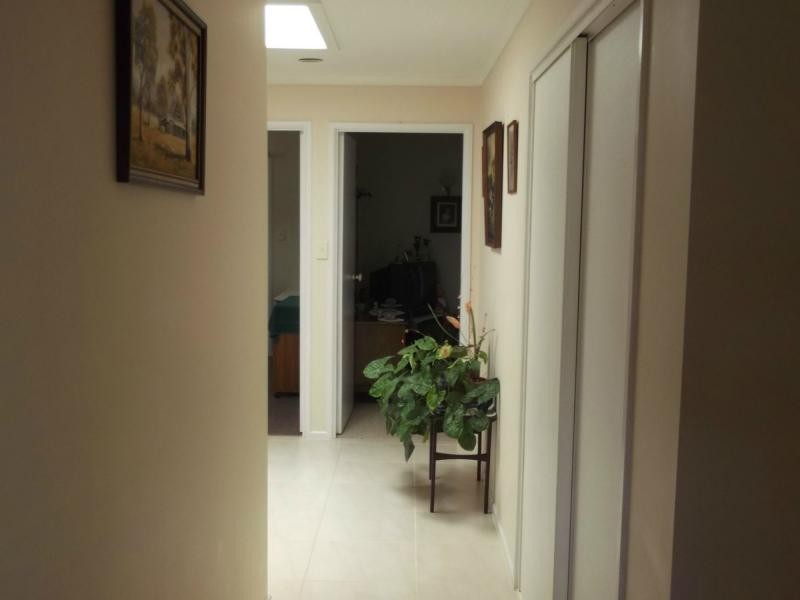 25 Cutter Street, Russell Island QLD 4184