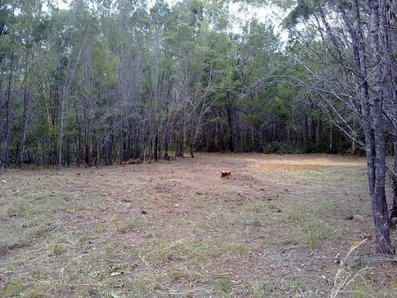 Russell Island QLD 4184