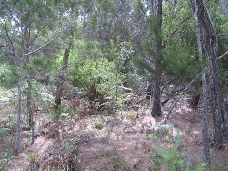 30 Canaipa Ridge Road, Russell Island QLD 4184