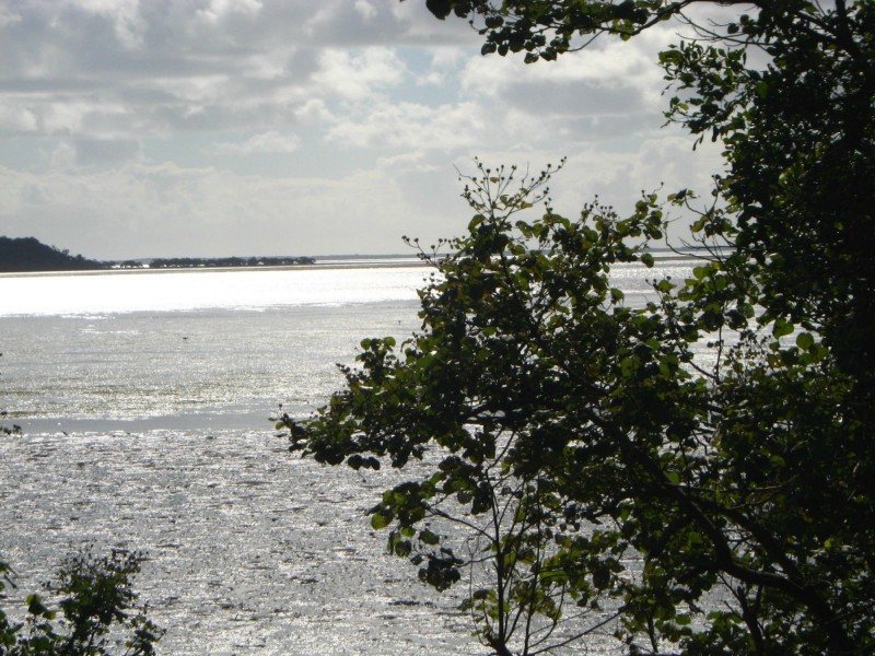 1 Canaipa Point Drive, Russell Island QLD 4184