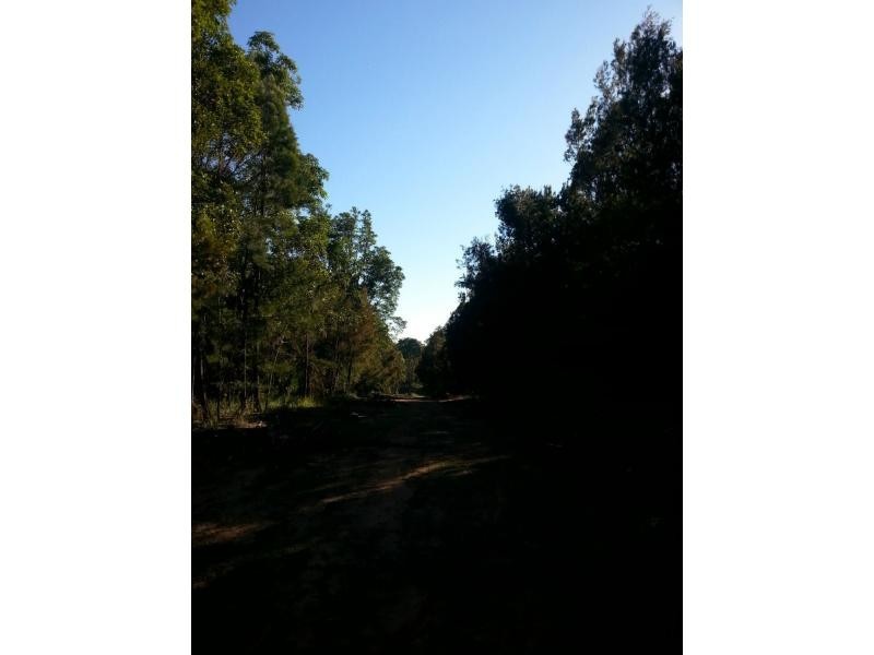 11 Hillview Road, Russell Island QLD 4184