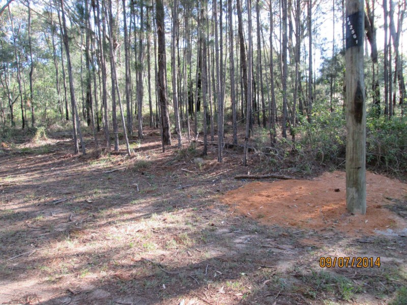 9 Harrison Street, Russell Island QLD 4184