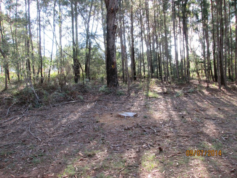 9 Harrison Street, Russell Island QLD 4184