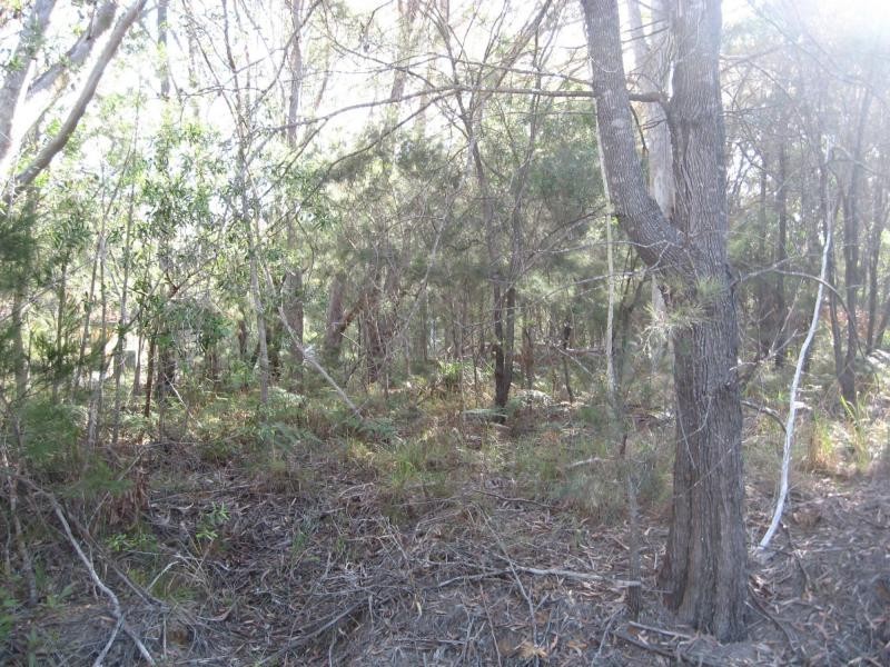 12 Castle Wood Crescent, Russell Island QLD 4184