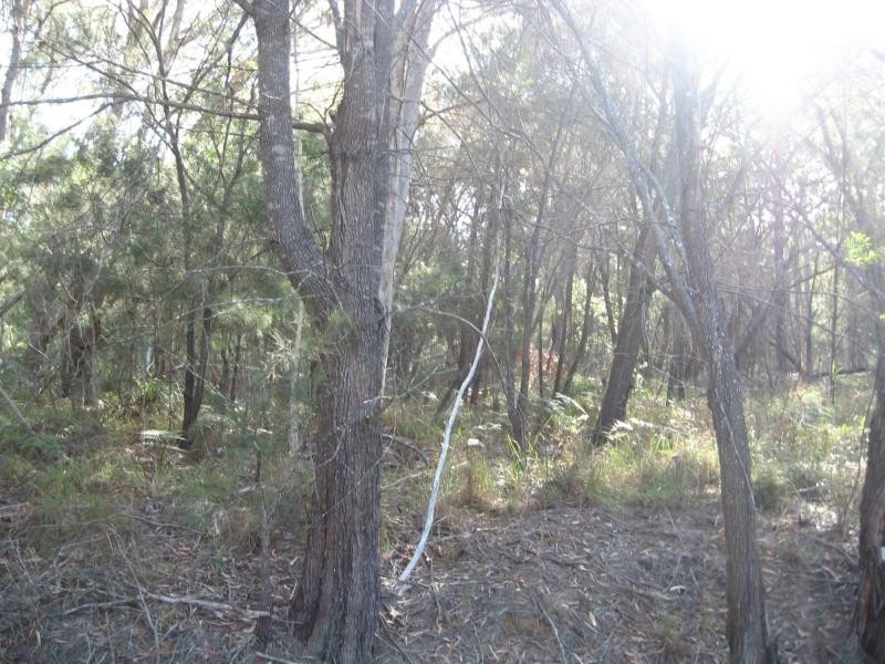 12 Castle Wood Crescent, Russell Island QLD 4184