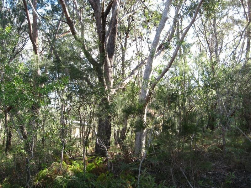 12 Castle Wood Crescent, Russell Island QLD 4184