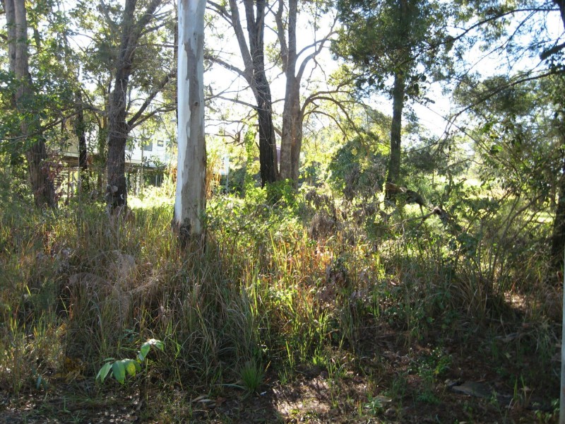 119 Laurel Street, Russell Island QLD 4184