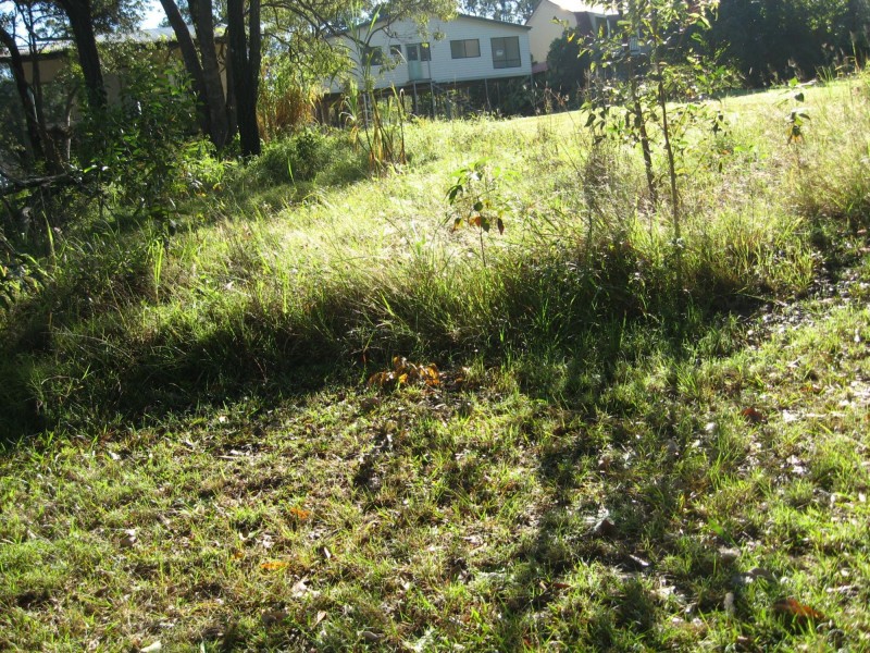119 Laurel Street, Russell Island QLD 4184