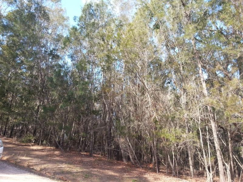 23 Canaipa Ridge Road, Russell Island QLD 4184