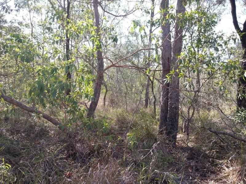 65 Crescent Drive, Russell Island QLD 4184