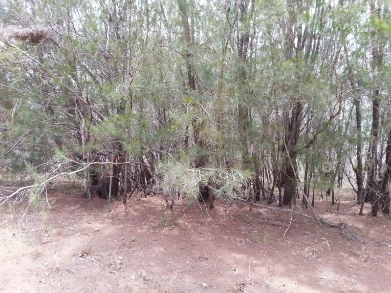 10 Hillview Parade, Russell Island QLD 4184