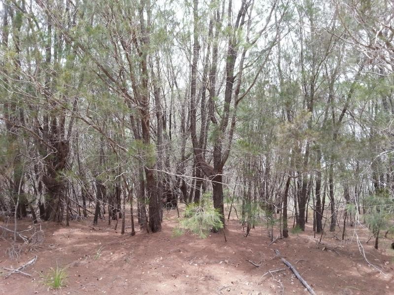 10 Hillview Parade, Russell Island QLD 4184