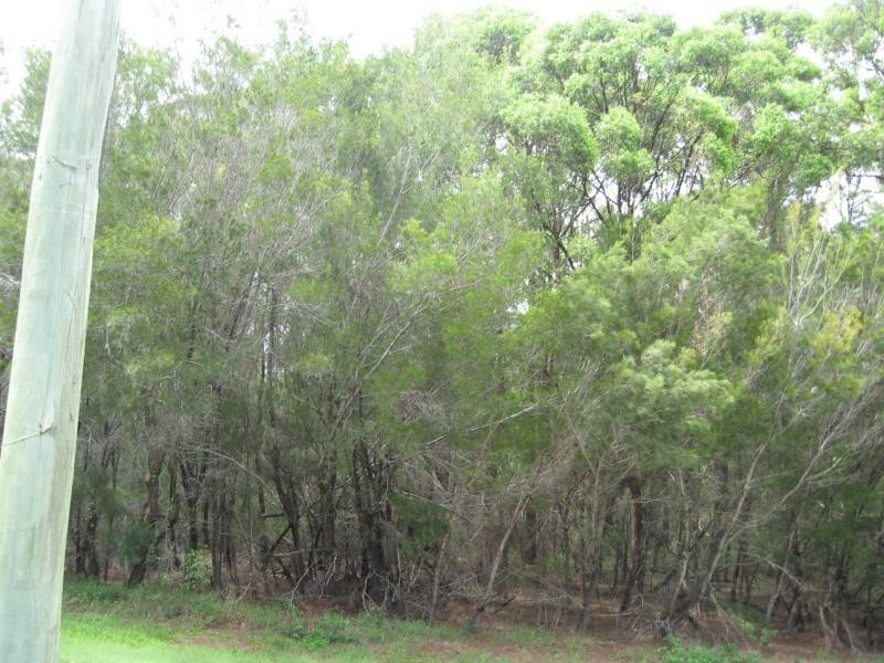 10 Hume Street, Russell Island QLD 4184