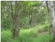 9 Kilpa Avenue, Russell Island QLD 4184