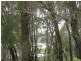 19 Opal Court, Russell Island QLD 4184