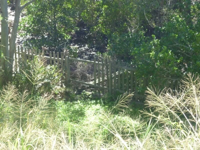 41 Patterson Street, Russell Island QLD 4184