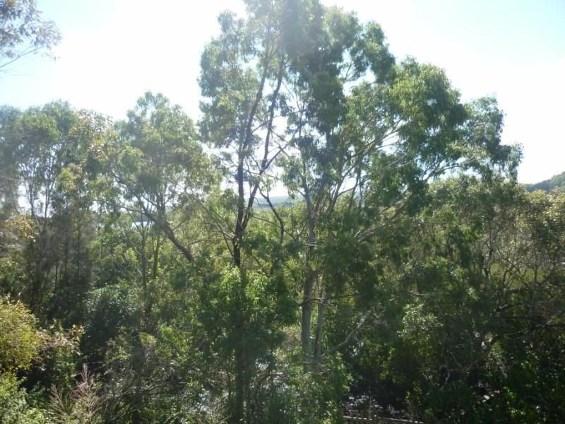 41 Patterson Street, Russell Island QLD 4184