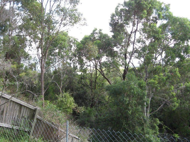 41 Patterson Street, Russell Island QLD 4184