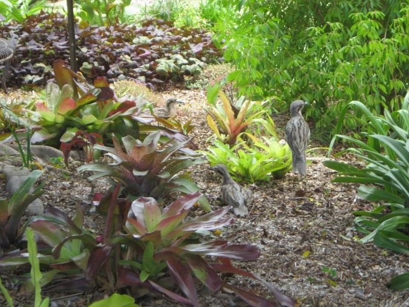 8 Stock Street, Russell Island QLD 4184