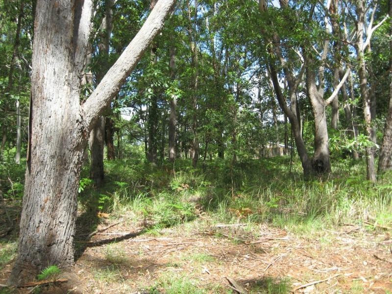 19 Meadstone Street, Russell Island QLD 4184