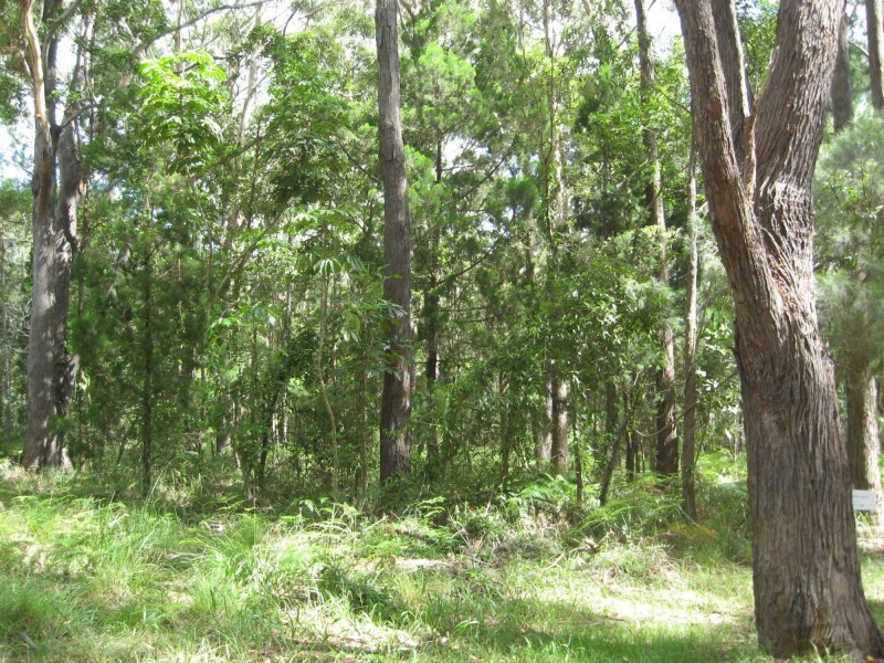 11 Meadstone Street, Russell Island QLD 4184