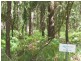 11 Meadstone Street, Russell Island QLD 4184