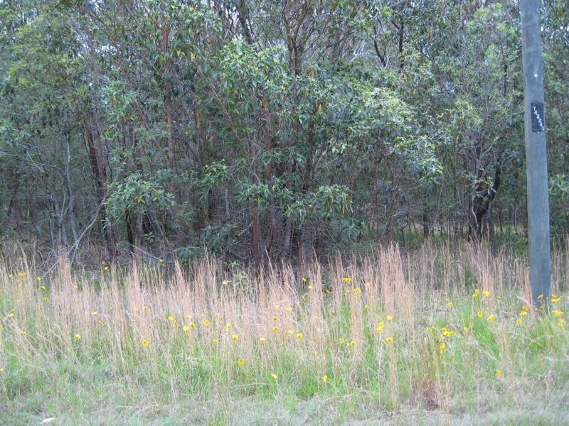 77 Glendale Road, Russell Island QLD 4184