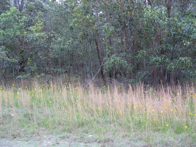 77 Glendale Road, Russell Island QLD 4184