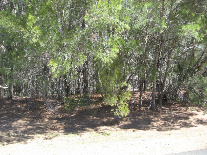 42 Barcelona Terrace, Russell Island QLD 4184