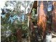 12 Schooner Street, Russell Island QLD 4184