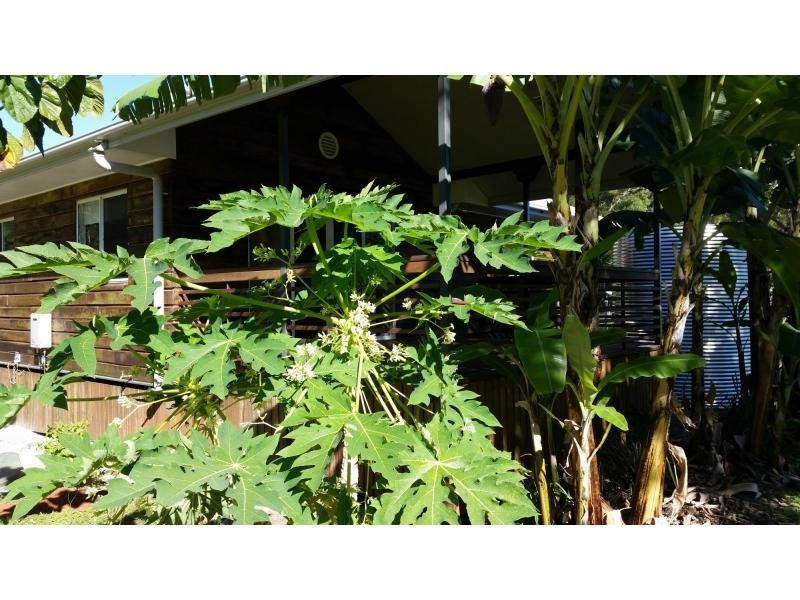 41 Taylor Street, Russell Island QLD 4184