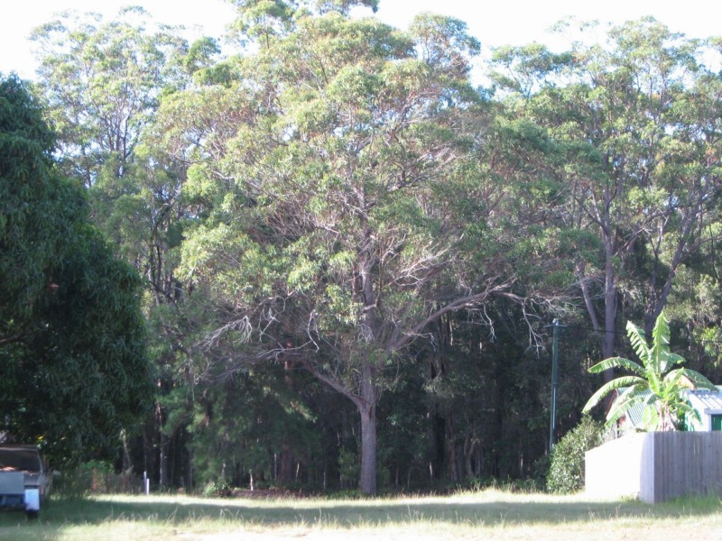 14 Canaipa Road, Russell Island QLD 4184