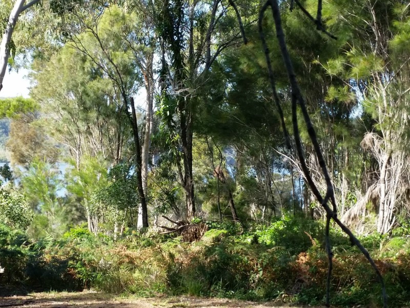 39 Scenic Drive, Russell Island QLD 4184