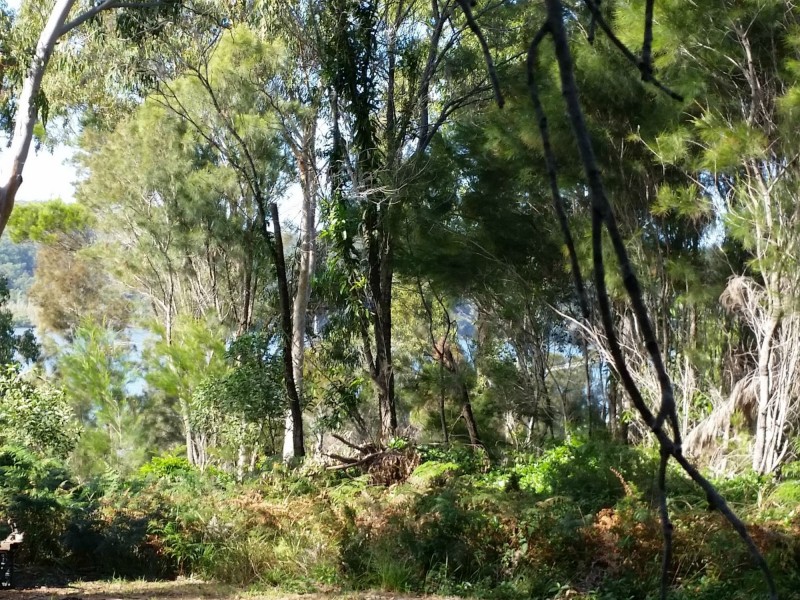 39 Scenic Drive, Russell Island QLD 4184