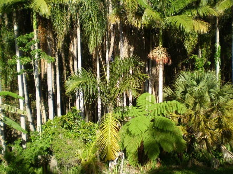 Russell Island QLD 4184