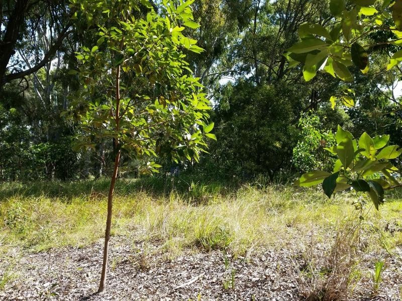100 The Boulevard, Russell Island QLD 4184