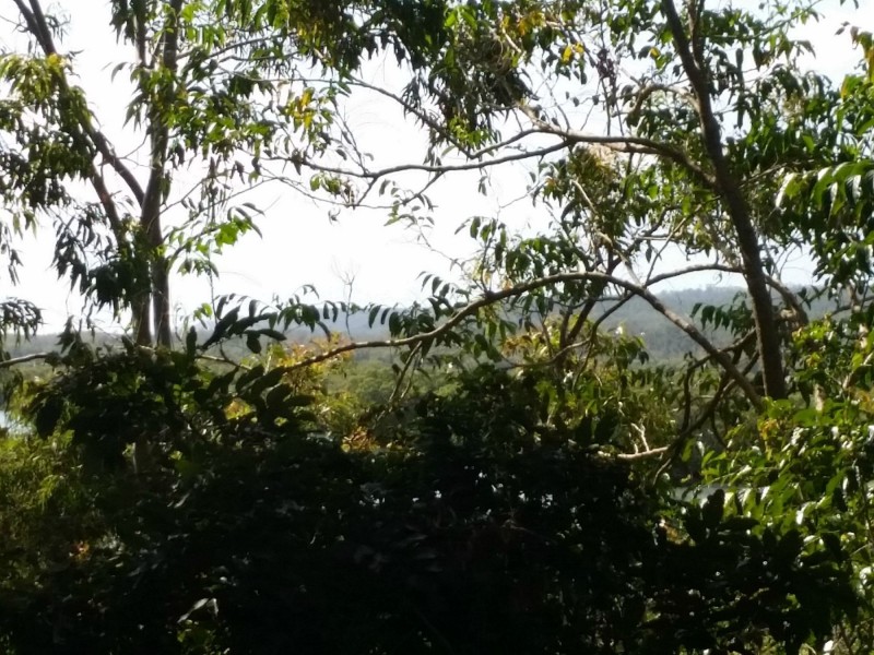 161 Canaipa Point Drive, Russell Island QLD 4184