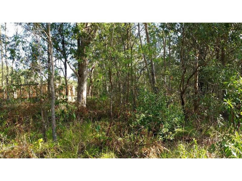 10 Aster Street, Russell Island QLD 4184