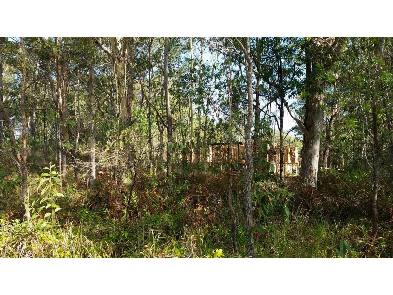 10 Aster Street, Russell Island QLD 4184