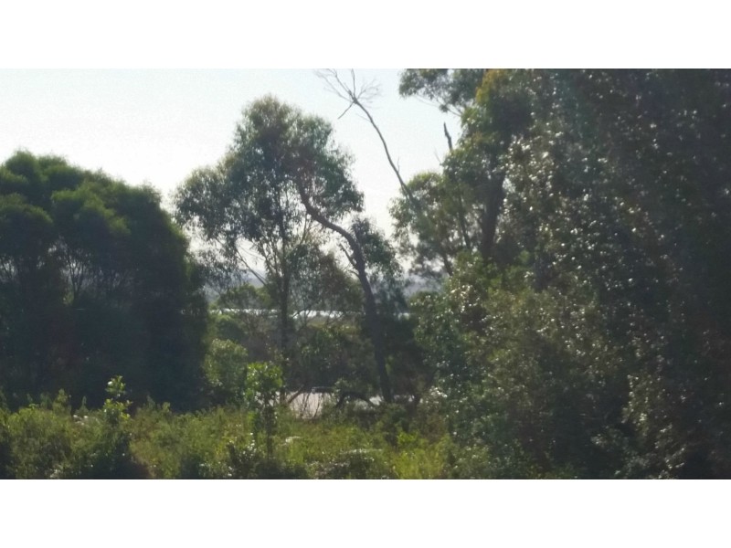 4 Acalypha Street, Russell Island QLD 4184