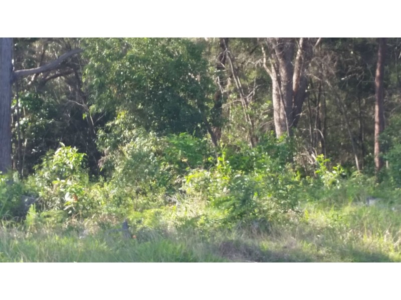 4 Acalypha Street, Russell Island QLD 4184