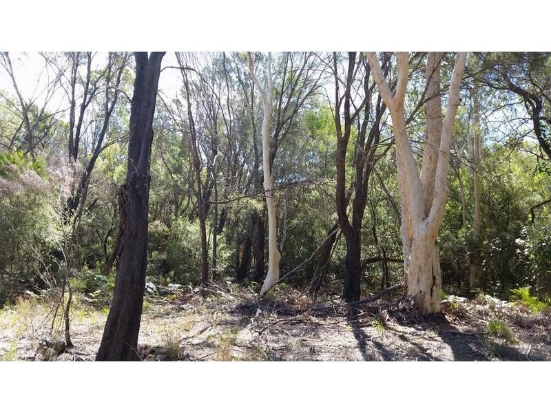 28 Canaipa Ridge Road, Russell Island QLD 4184